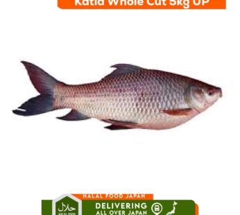 Katla Whole Cut 4 kg Up
