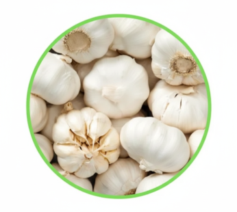 Garlic Whole (890-990g) ニンニク