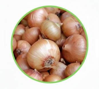 White Onion (10kg) (±100g)