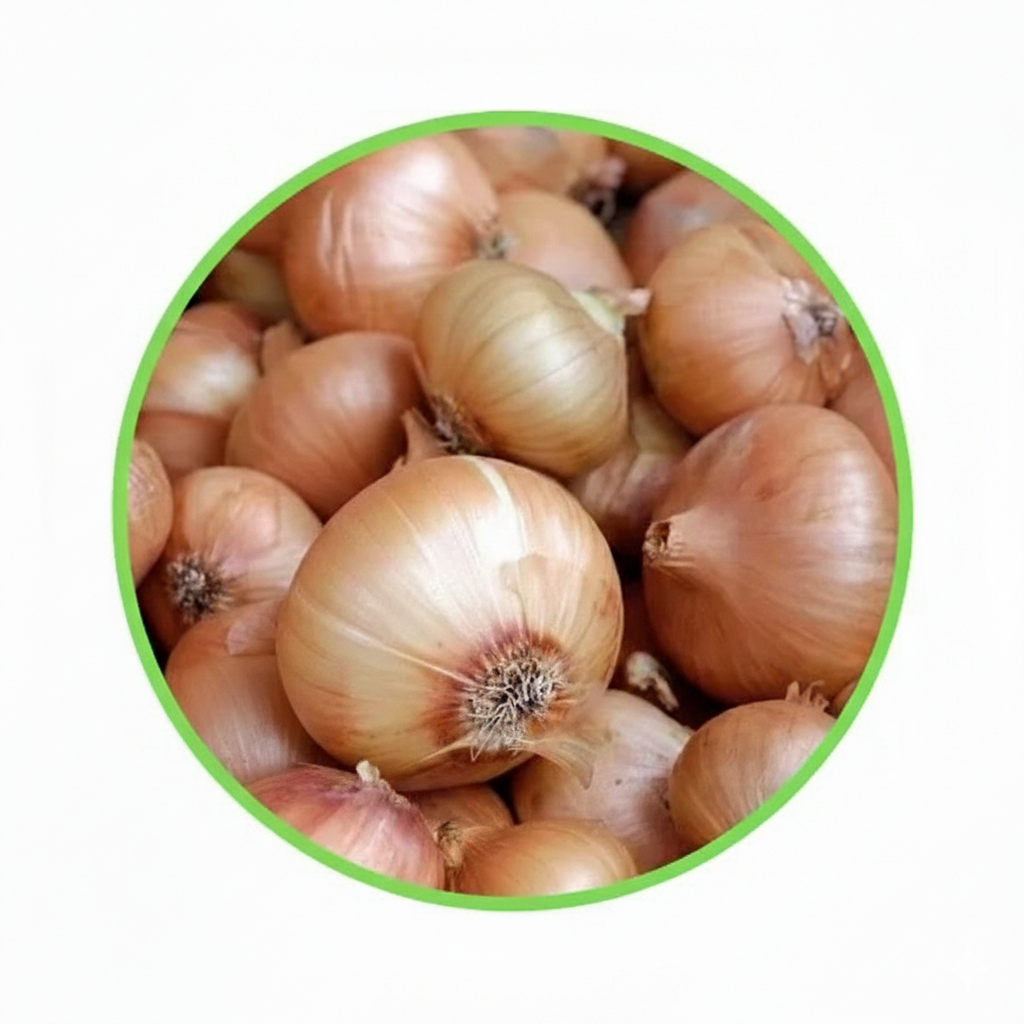 White Onion (5kg) (±100g)