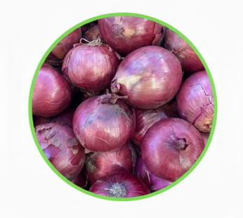 Red Onion 5Kg (±100g) 赤タマネギ