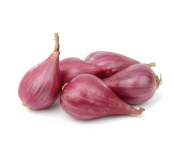 Fresh Violet Shallot Small (500g) 赤玉ねぎ9